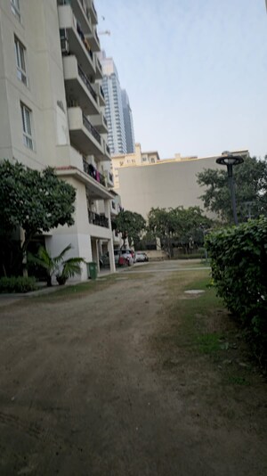 2 BHK Apartment For Rent in Emaar Emerald Nuevo, Sector 65