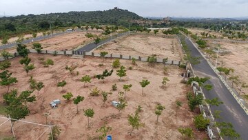 Plot Area in  Plot at Kandukur – for Sale