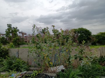 Plot For Sale in Chikkajala