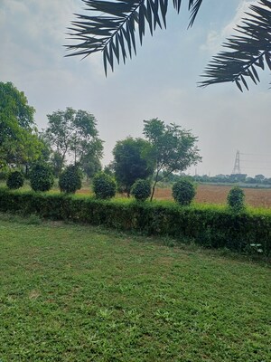  Plot – Garden View at Jewar - for Sale