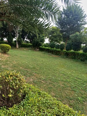  Plot – Garden View at Jewar - for Sale