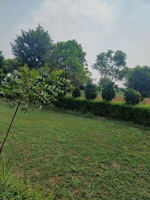  Plot – Garden View at Jewar - for Sale