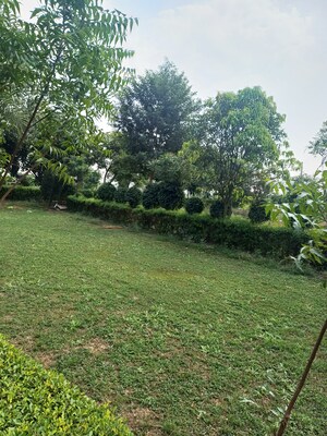 Plot – Garden View at Jewar - for Sale