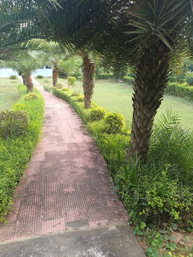 Garden, jewar  152 Sq.Yd. Plot In Jewar Greater Noida 9367535