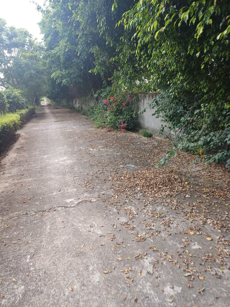 undefined, jewar  152 Sq.Yd. Plot In Jewar Greater Noida 9367535