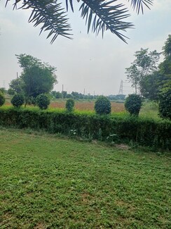 Plot For Sale in Jewar