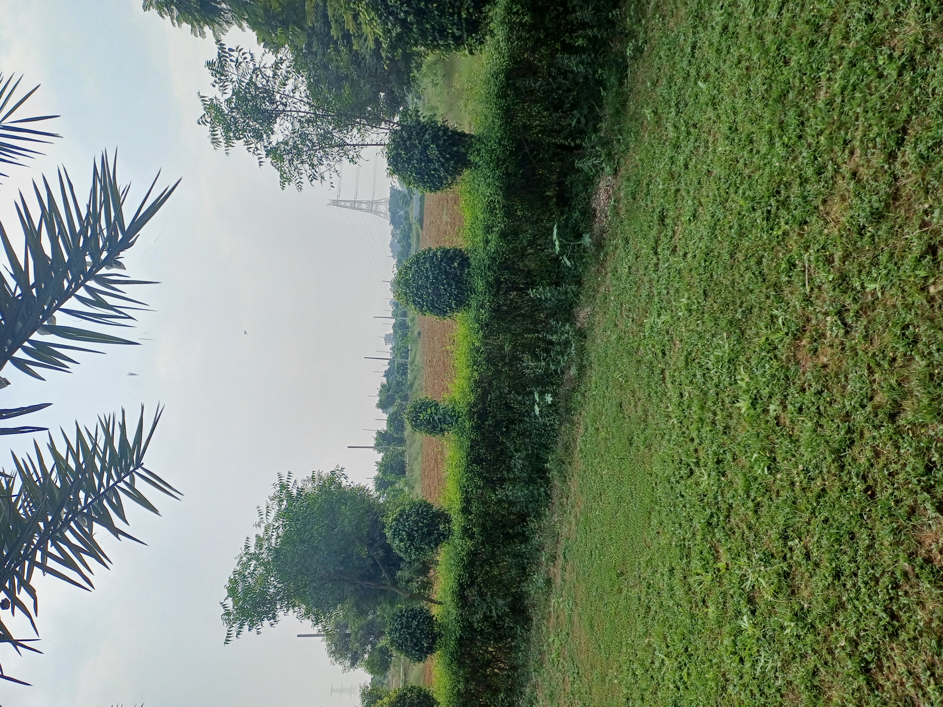 Plot For Sale in The Grand City 