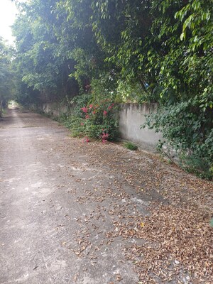 Plot Area in  Plot at Jewar – for Sale