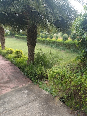  Plot – Garden View at Jewar - for Sale