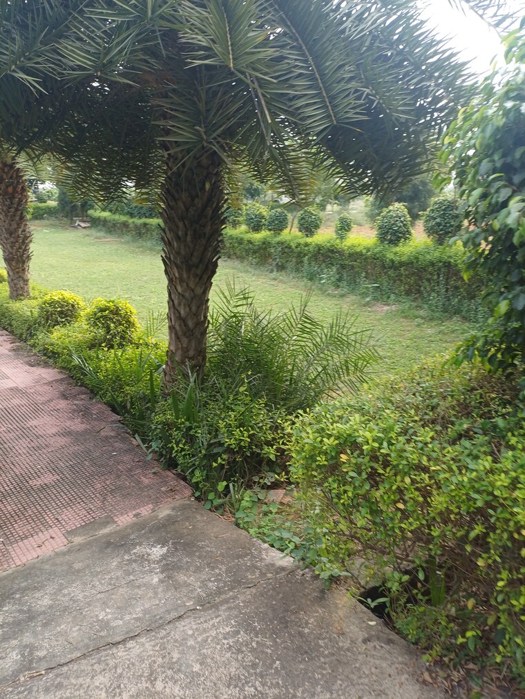 Garden, jewar  152 Sq.Yd. Plot In Jewar Greater Noida 9367535