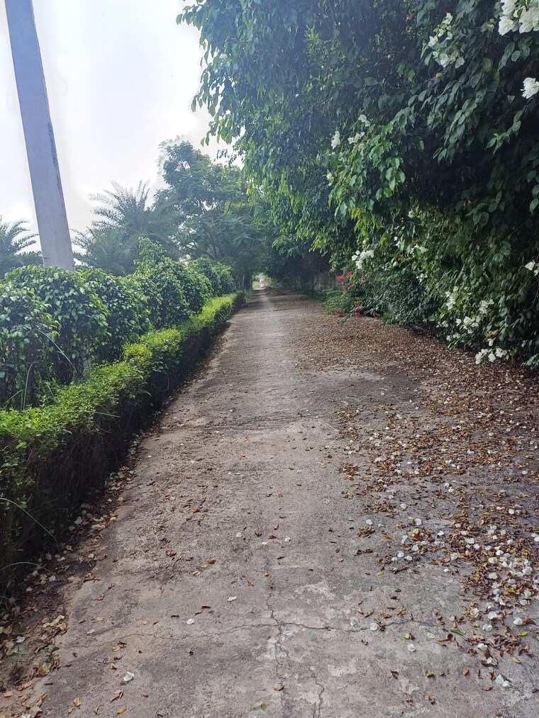 Garden, jewar  153 Sq.Yd. Plot In Jewar Greater Noida 9367608