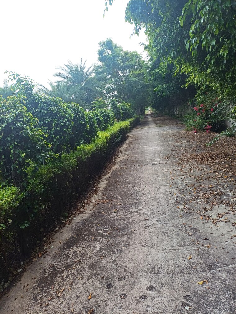 Garden, jewar  153 Sq.Yd. Plot In Jewar Greater Noida 9367608