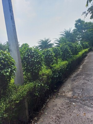  Plot – Garden View at Jewar - for Sale