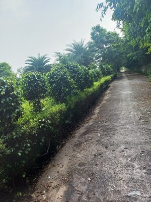  Plot – Garden View at Jewar - for Sale