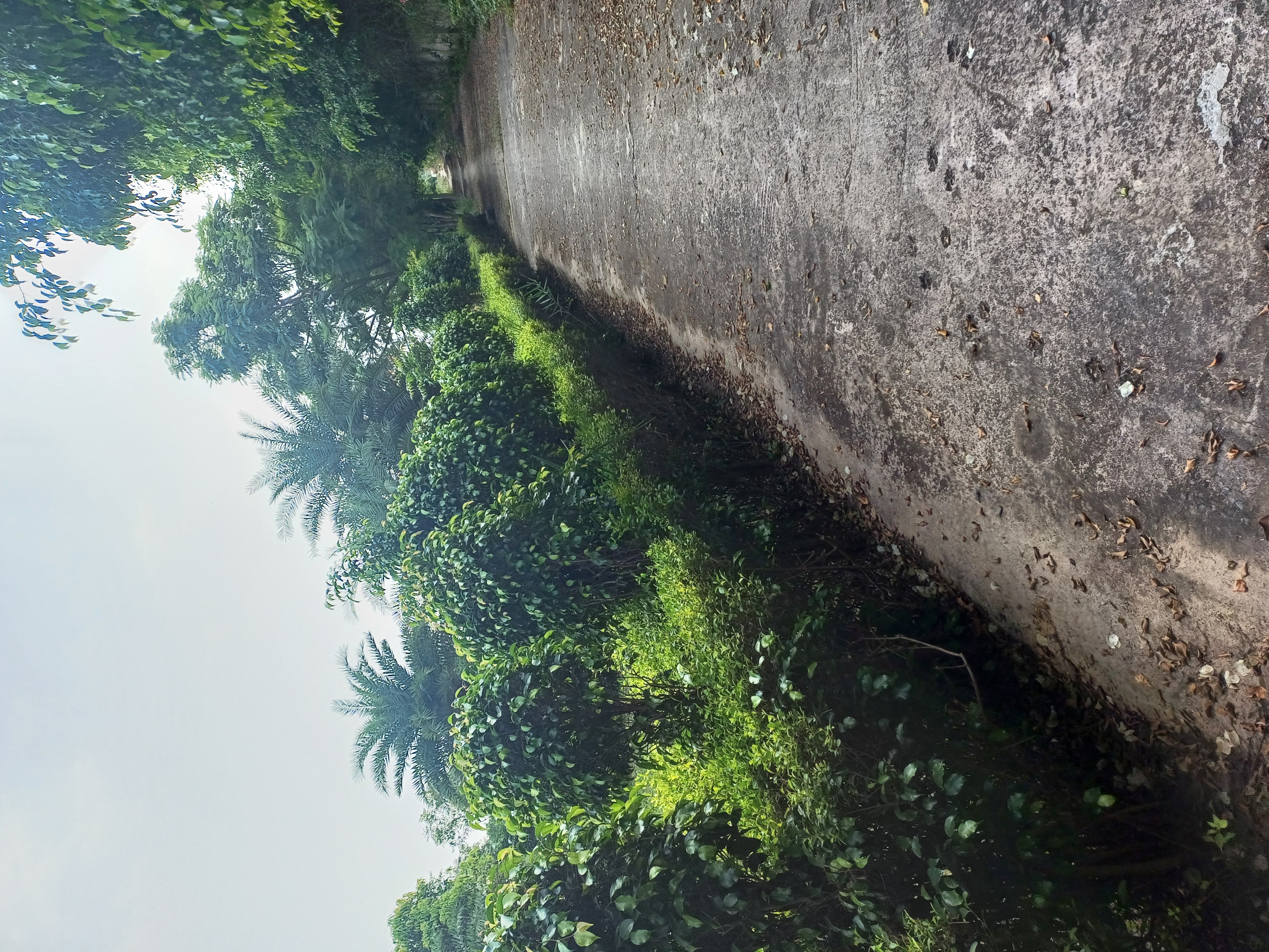 Plot For Sale in Harit City 