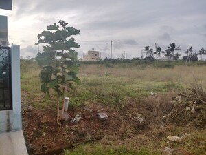 Plot Area in  Plot at Kadakola – for Sale