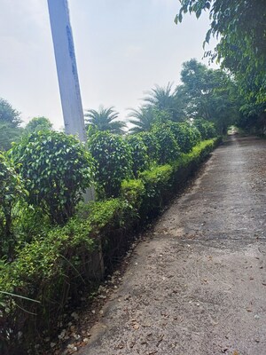  Plot – Exterior View View at Jewar - for Sale