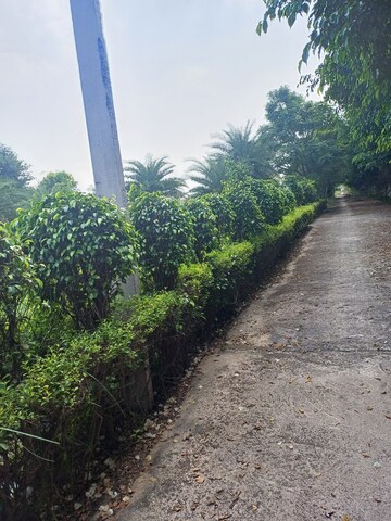 Plot – Exterior View View at Jewar - for Sale