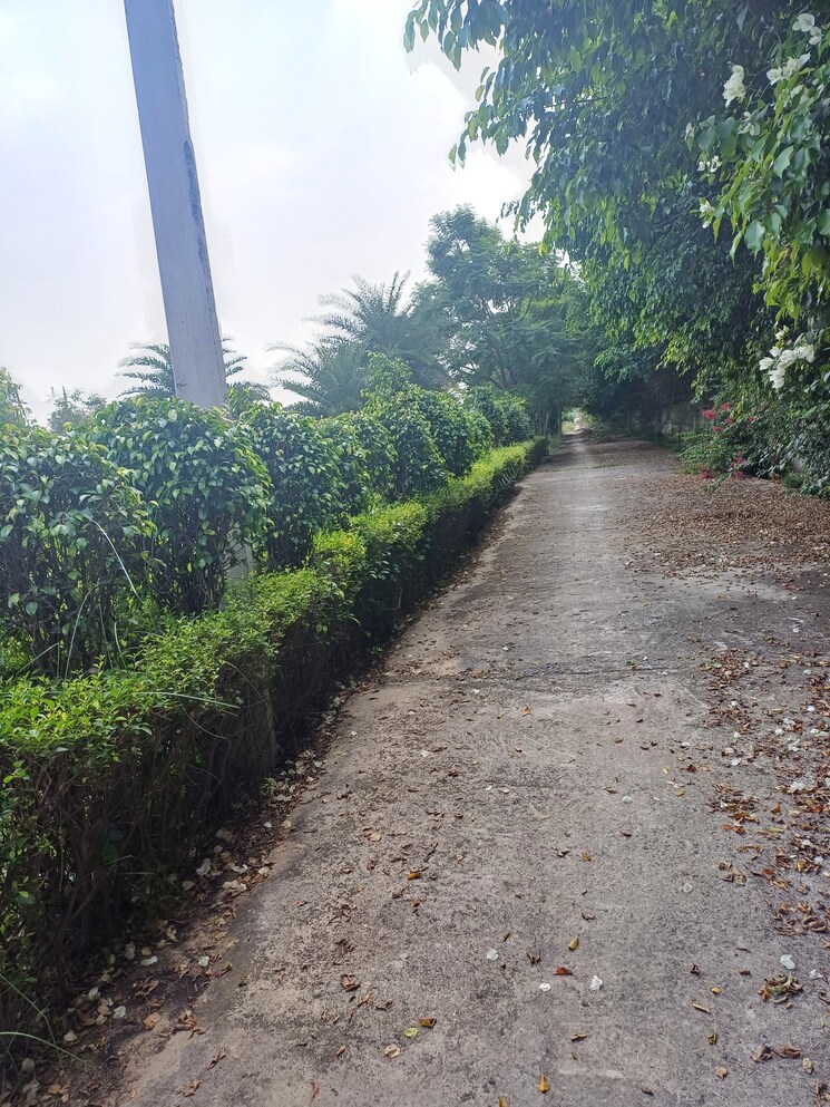 Exterior View, jewar  154 Sq.Yd. Plot In Jewar Greater Noida 9367642