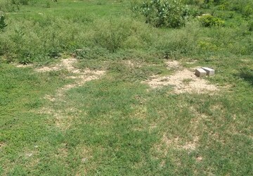 Plot Area in  Plot at BPTP Parklands, Sector 76 – for Sale