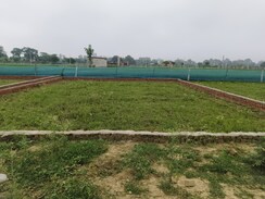 Plot For Sale in Amrai gaon