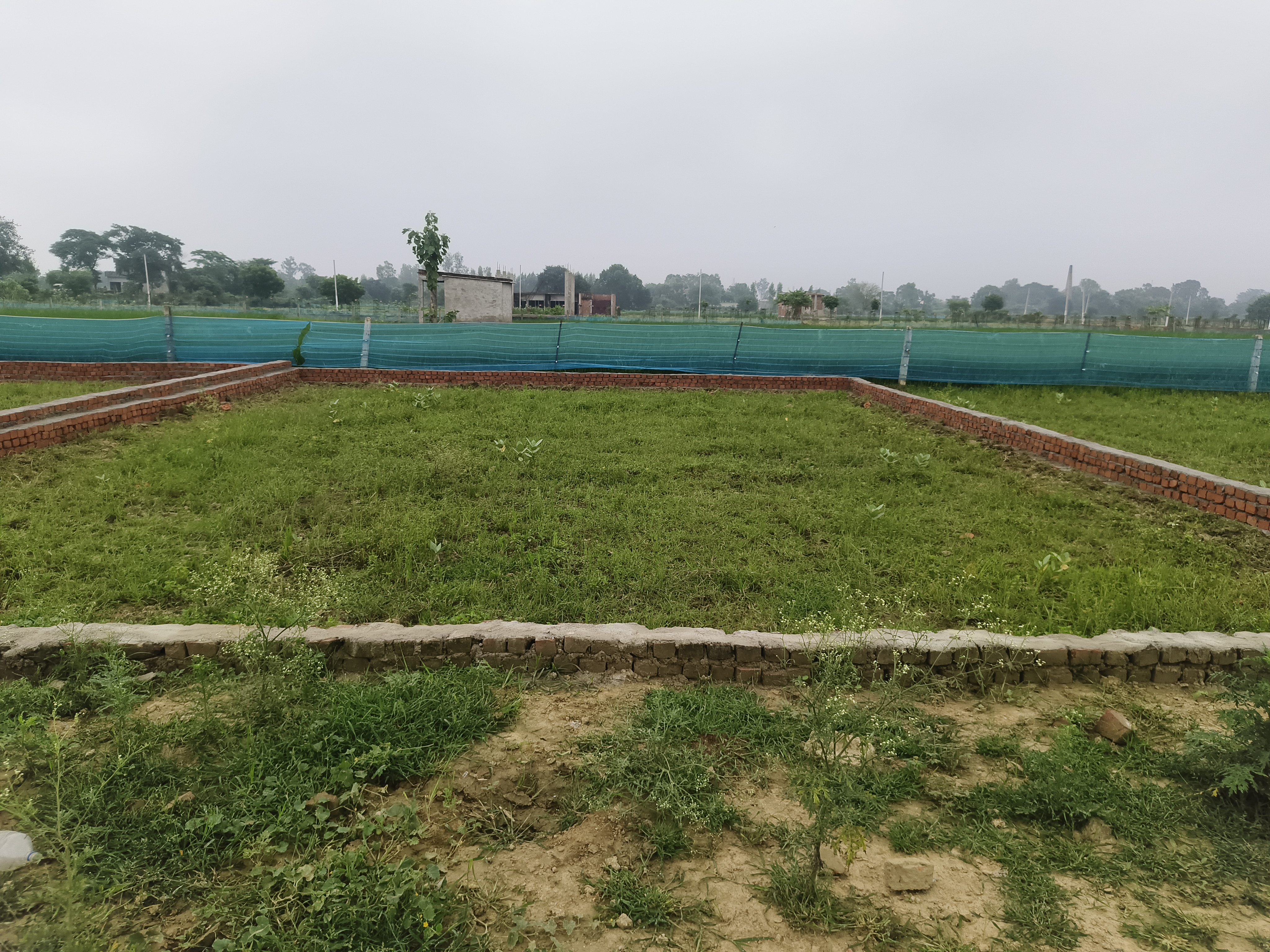 Plot For Sale in Plot Sale Rassolpur Indra