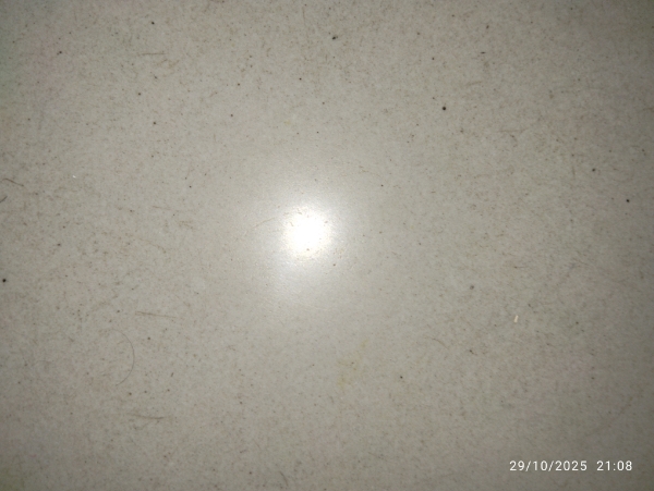 3 BHK + Pooja Room Apartment For Rent in My Home Avatar