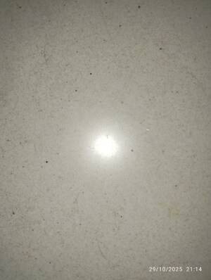 3 BHK Apartment For Rent in Lansum El Dorado, Narsingi