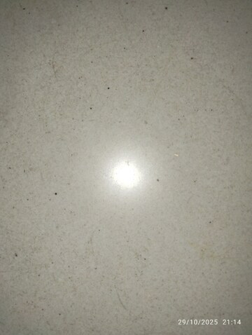 3 BHK Apartment For Rent in Lansum El Dorado, Narsingi