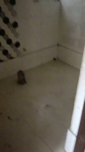 Bathroom in 2 BHK Apartment at Eureka Diya Green City, Raj Nagar Extension – for Sale