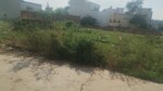 350 Sq.Yd. Plot in Jawahar Nagar Palwal