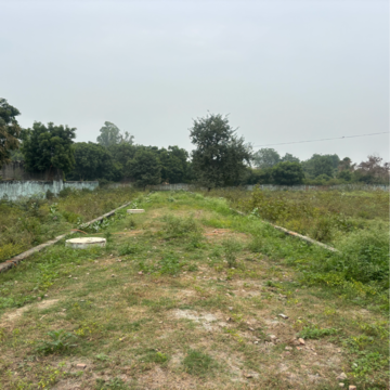Plot Area in  Plot at Dankaur – for Sale