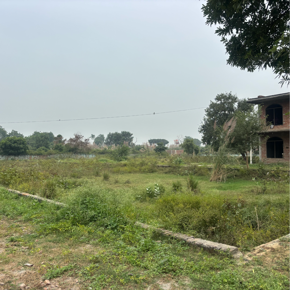 Plot For Sale in Dankaur