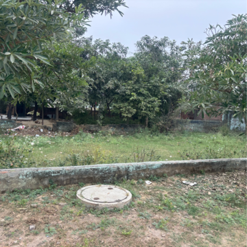Plot Area in  Plot at Dankaur – for Sale