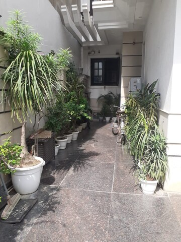 Balcony in 1 RK Builder Floor at Sector 40 – for Rent