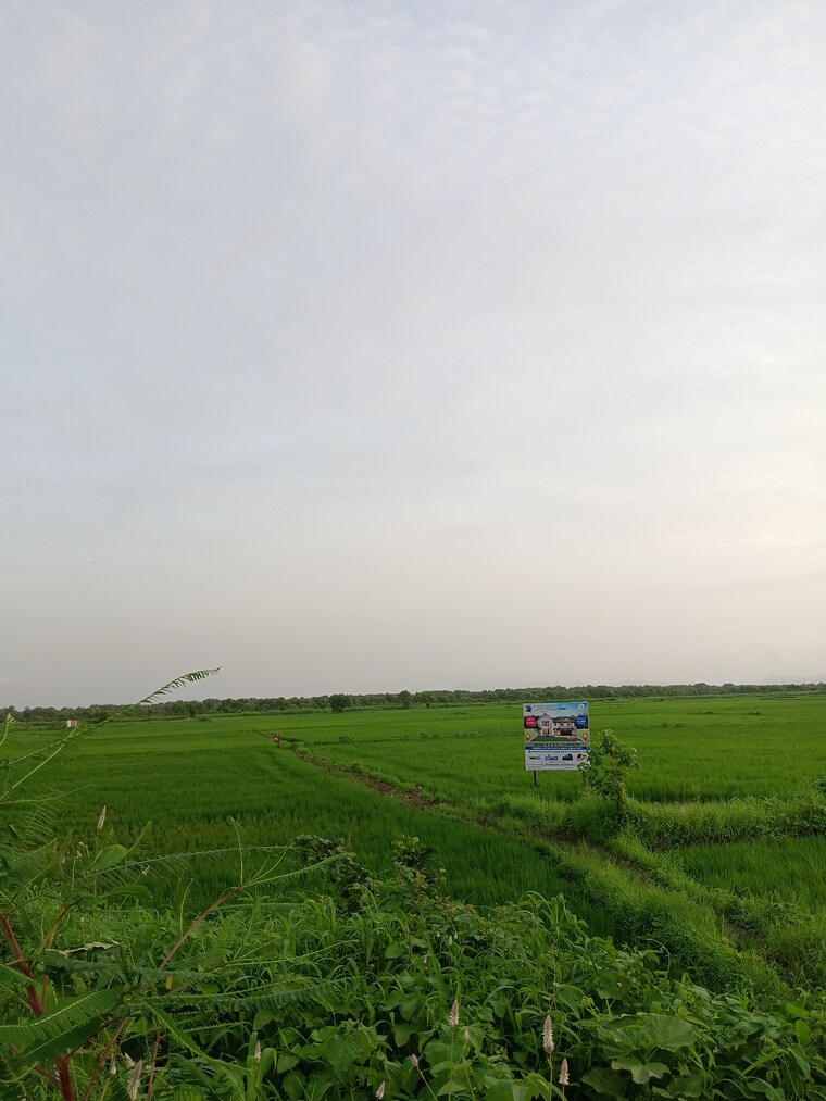 Garden, uran  3268 Sq.Ft. Plot In Uran Navi Mumbai 9369374