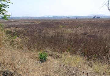 Plot Area in  Plot at Dronagiri – for Sale