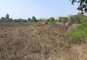 Plot For Sale in Dronagiri