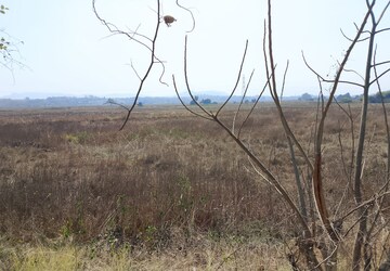 Plot Area in  Plot at Dronagiri – for Sale