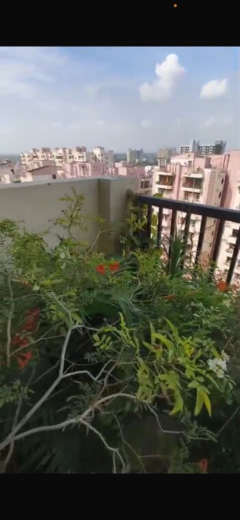 Gulmohur Garden