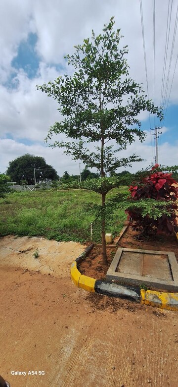 Plot For Sale in Hoskote Malur Road