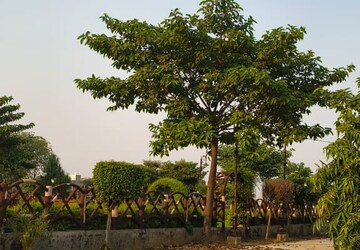 Plot Area in  Plot at Sujanpur – for Sale