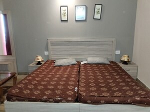 1 BHK Apartment For Rent in Paramount Golfforeste, Zeta I Greater Noida