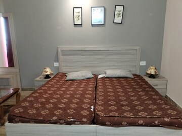 1 BHK Apartment For Rent in Paramount Golfforeste, Zeta I Greater Noida