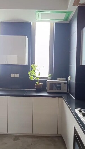 Kitchen in 3 BHK Apartment at DLF The Crest, Sector 54 – for Rent