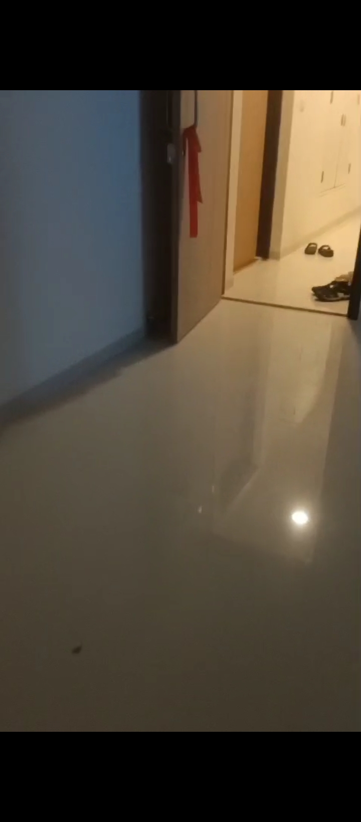 1 BHK + Pooja Room Apartment For Rent in Lodha Codename Premier