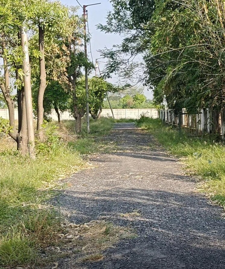 Garden, alaknanda-enclave-plots  450 Sq.Ft. Plot In Bijnor Lucknow 9369763