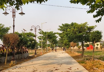 Plot Area in  Plot at Sujanpur – for Sale