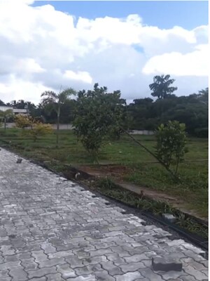 Plot Area in  Plot at Kechery – for Sale