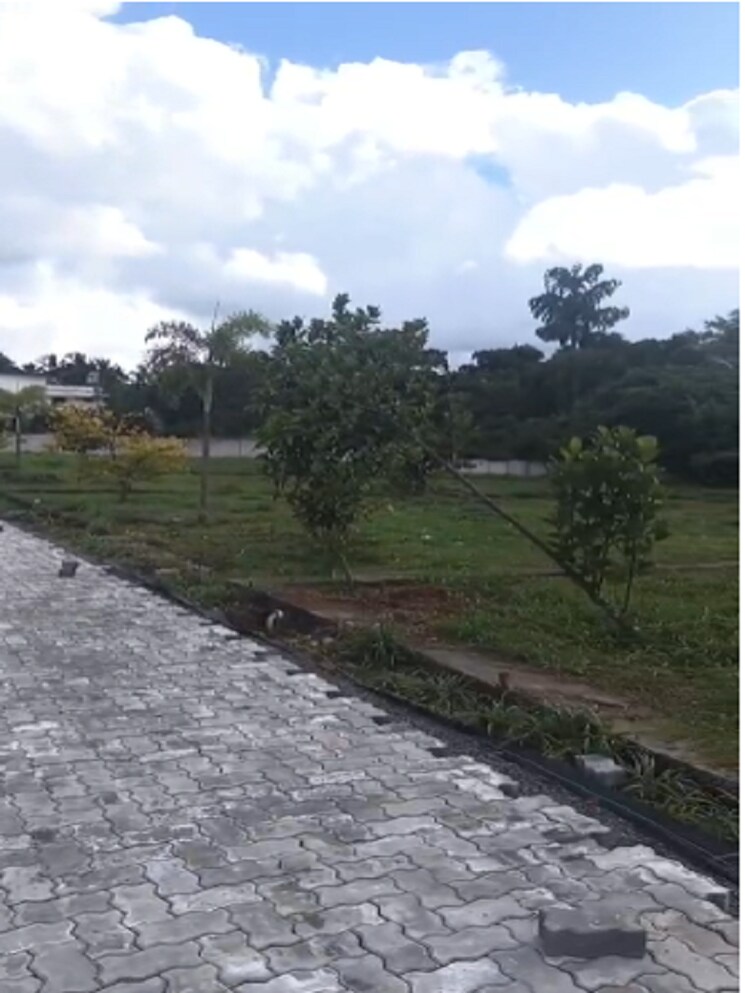 undefined, kechery  4357 Sq.Ft. Plot In Kechery Thrissur 9369984